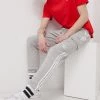 Ανδρικά Παντελόνια φόρμας Παντελόνι Adidas Originals Adicolor χρώμα: γκρι