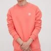Ανδρικά Χωρίς φερμουάρ Μπλούζα Adidas Originals Adicolor πορτοκαλί