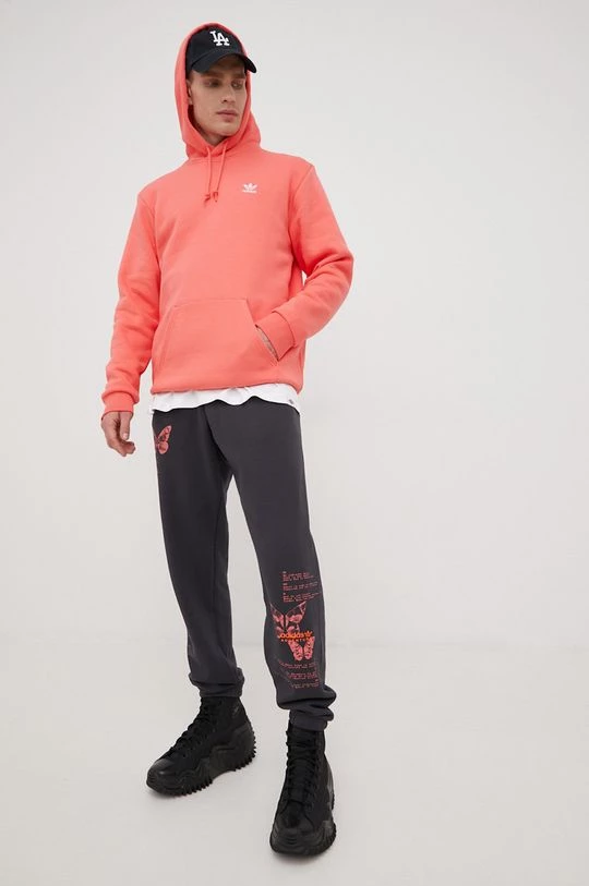 Ανδρικά Παντελόνια φόρμας Παντελόνι φόρμας Adidas Originals χρώμα: γκρι - Image 2